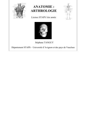 ANATOMIE : ARTHROLOGIE - STAPS AVIGNON - Université d ...