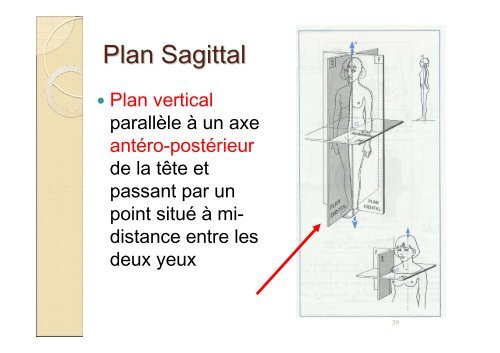 Plan Frontal Plan vertic