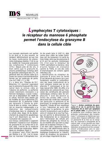 Lymphocytes T cytotoxiques : le récepteur du ... - iPubli-Inserm