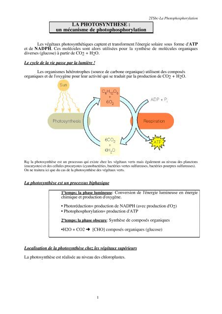 La Photosynthese Un Mecanisme De Bts Biochimie La Photosynthese Un Mecanisme De Bts Biochimie