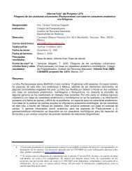 Informe final* del Proyecto L074 Filogenia de las ... - Conabio