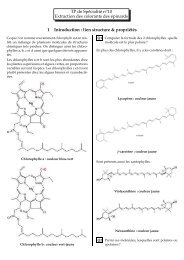 TP de Spécialité no10 Extraction des colorants des épinards 1 ...