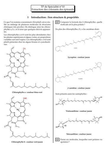 TP de Spécialité no10 Extraction des colorants des épinards 1 ...