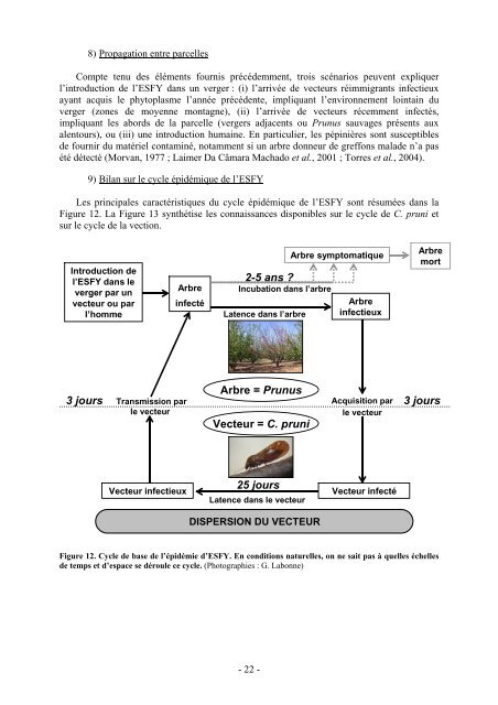 Ecole Nationale Supérieure Agronomique de Montpellier ... - CIAM