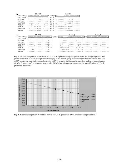 Ecole Nationale Supérieure Agronomique de Montpellier ... - CIAM