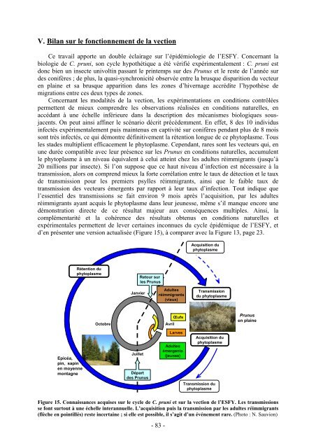 Ecole Nationale Supérieure Agronomique de Montpellier ... - CIAM