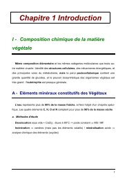 Physiologie végétale