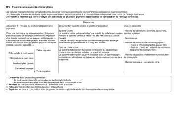 TP3 – Propriétés des pigments chlorophylliens Les ... - svtCharlie