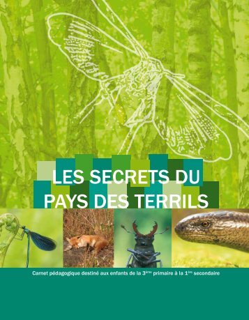 LES SECRETS DU PAYS DES TERRILS