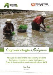 l'agro-écologie à Madagascar - AVSF