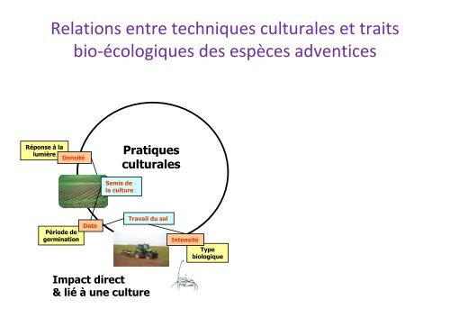 le panorama des principales espèces - Techniloire