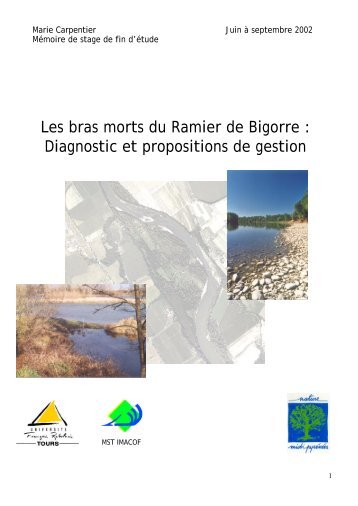 Les bras morts du Ramier de Bigorre