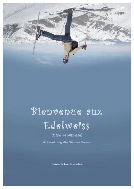 Bienvenue Aux Edelweiss - Pilote