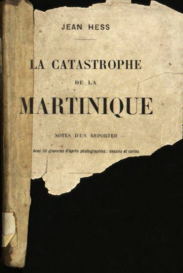 la catastrophe - Manioc