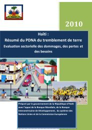 SEISME EN HAITI RAPPORT PDNA