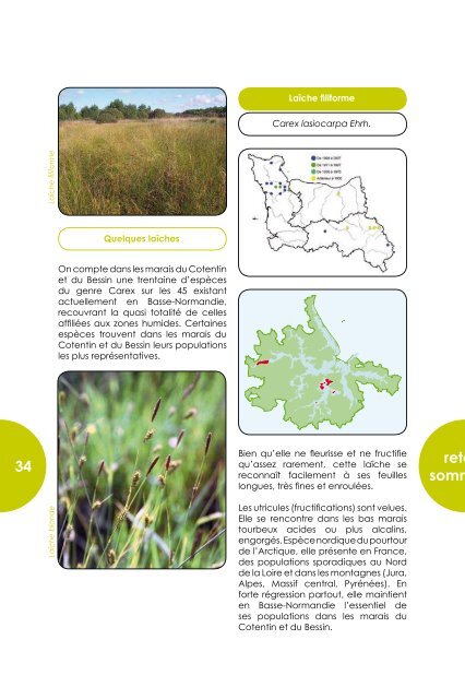 Flore et végétation des marais - Parc Naturel Régional des Marais ...