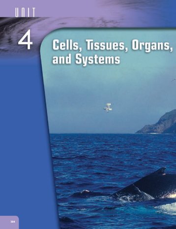 Unit 4 Cells, Tissues, Organs, and Systems - McGraw-Hill Ryerson