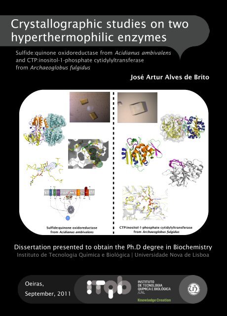 Crystallographic studies on two hyperthermophilic enzymes