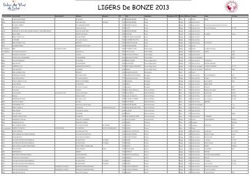 ligers_bronze_PALMARES 02-03-2013 - Salon des vins de Loire