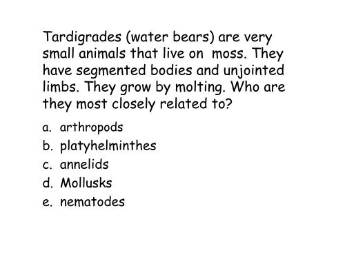 Echinoderms and Chordates: Introduction to the phylum and fishes ...