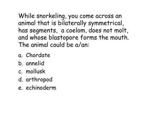 Echinoderms and Chordates: Introduction to the phylum and fishes ...