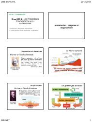 LES PROCESSUS FONDAMENTAUX DU MAGMATISME