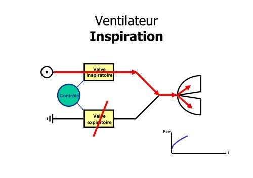 Coisel - Ventilateurs en anesthesie rea.pdf - CHU - Montpellier