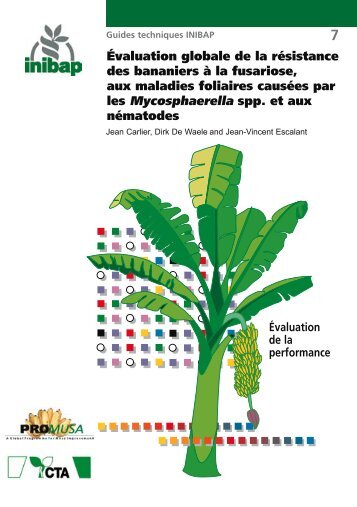 Évaluation globale de la résistance des bananiers à la fusariose ...