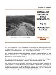 MANUAL DE GEOLOGIA PARA INGENIEROS - Galeón