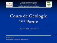 Programme Géodynamique externe - Faculté des Sciences ...