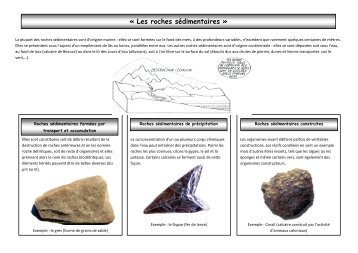 « Les roches sédimentaires »