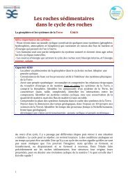 Programmation De Cycle 3 En Sciences Balises