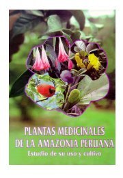 Plantas medicinales de la Amazonia Peruana