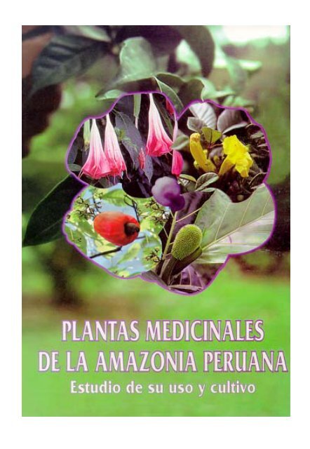 Plantas Medicinales De La Amazonia Peruana