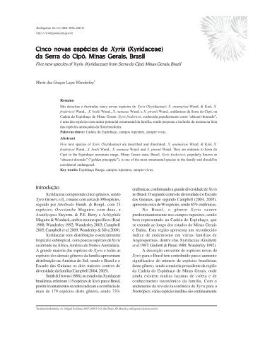 Cinco novas espécies de Xyris (Xyridaceae) - Rodriguésia