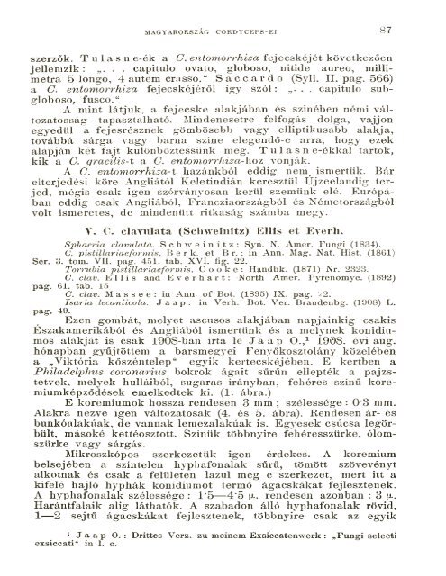 BOTANIKAI KÖZLEMÉNYEK VIII. KÖTET 1909 - World eBook Library