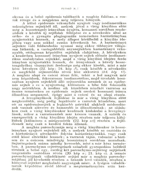 BOTANIKAI KÖZLEMÉNYEK VIII. KÖTET 1909 - World eBook Library