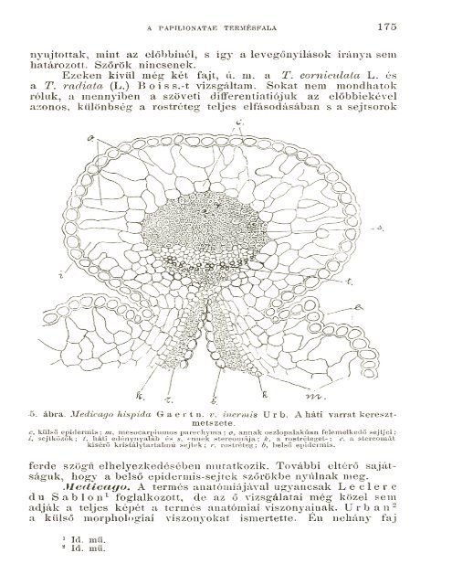 BOTANIKAI KÖZLEMÉNYEK VIII. KÖTET 1909 - World eBook Library