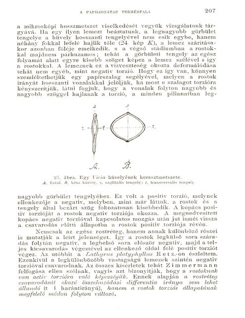 BOTANIKAI KÖZLEMÉNYEK VIII. KÖTET 1909 - World eBook Library