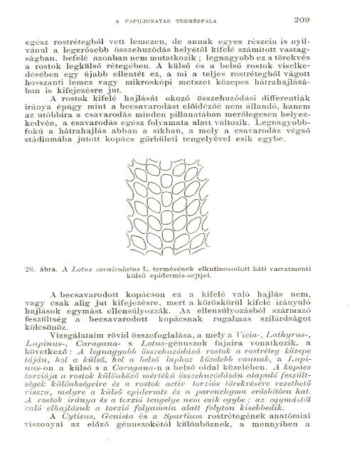 BOTANIKAI KÖZLEMÉNYEK VIII. KÖTET 1909 - World eBook Library