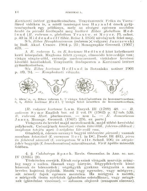 BOTANIKAI KÖZLEMÉNYEK VIII. KÖTET 1909 - World eBook Library