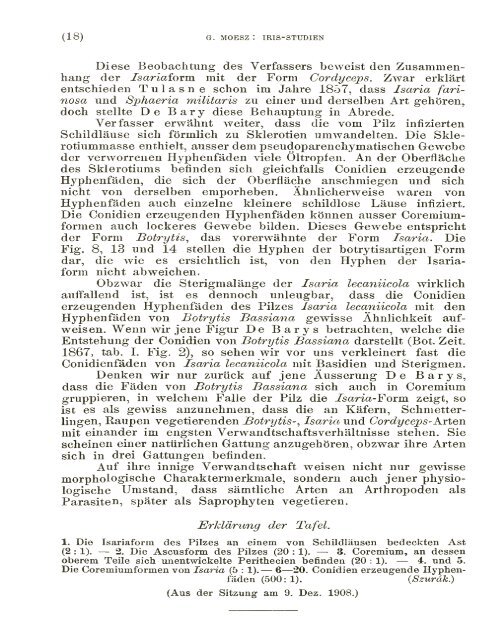 BOTANIKAI KÖZLEMÉNYEK VIII. KÖTET 1909 - World eBook Library