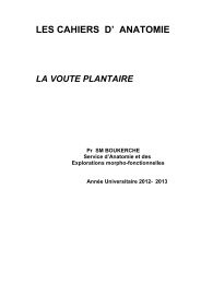 La voute plantaire.pdf - Laboratoire d'Anatomie Normale et des ...