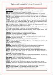 Le Chevalier Double -Tronc Commun