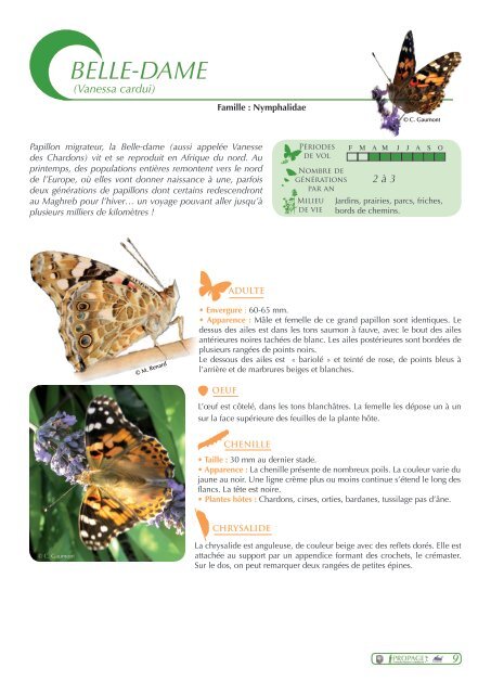Guide des papillons - Propage - Le Muséum national d'Histoire ...