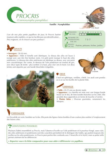 Guide des papillons - Propage - Le Muséum national d'Histoire ...