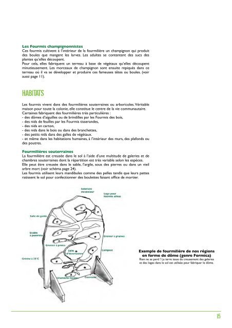 Cahier pédagogique "Fourmis" - Relais d'sciences