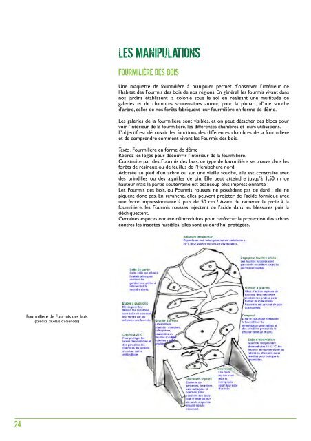 Cahier pédagogique "Fourmis" - Relais d'sciences