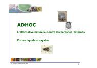 adhoc salvia - Penn'Ty Bio