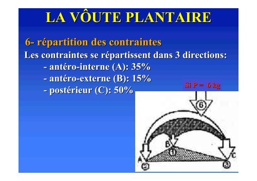 Biomécanique du pied - ClubOrtho.fr